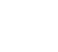 Create Dundas BI and visualization experts in your company with Dundas training and workshops