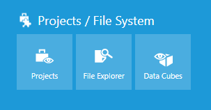 Projects & File Explorer options