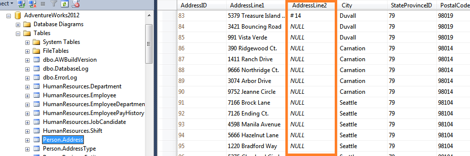 Input Data: Person.Address SQL table