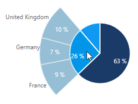 Pie Chart With Subsections