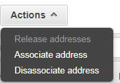 Associate the new IP address